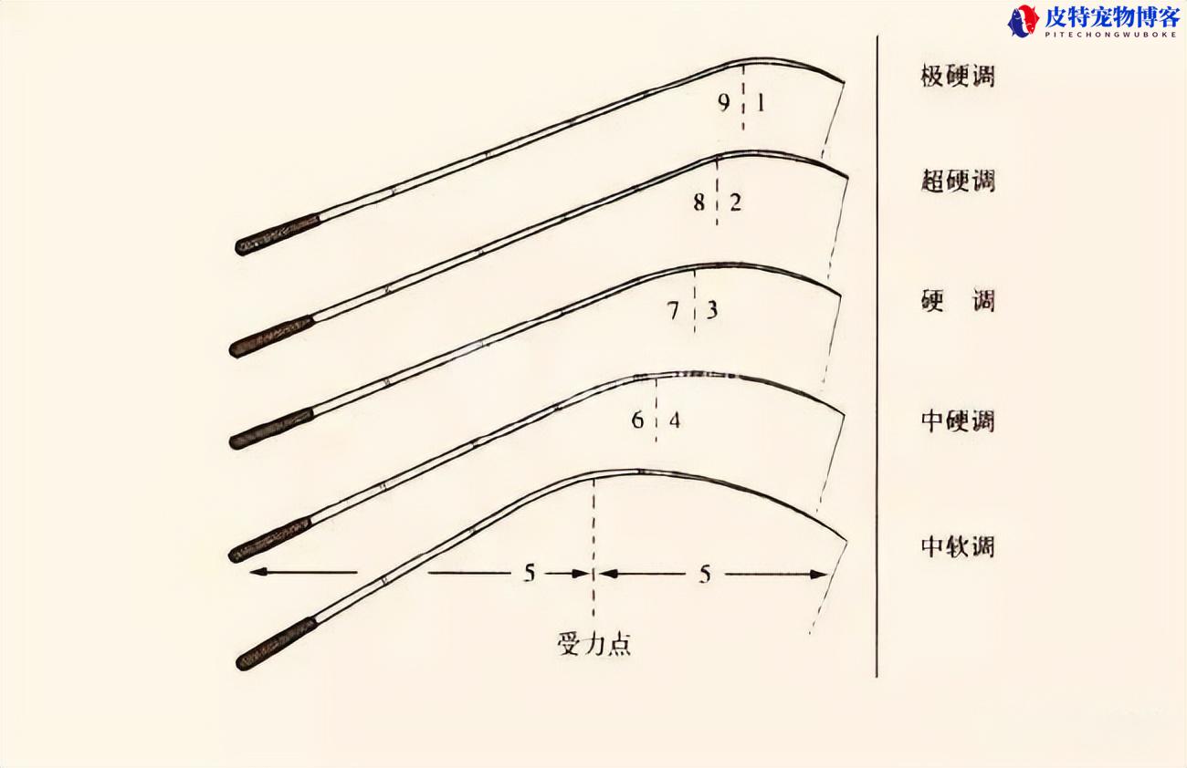 野钓用28还是19调鱼竿哪个好，新手钓鱼用什么调性鱼竿比较好