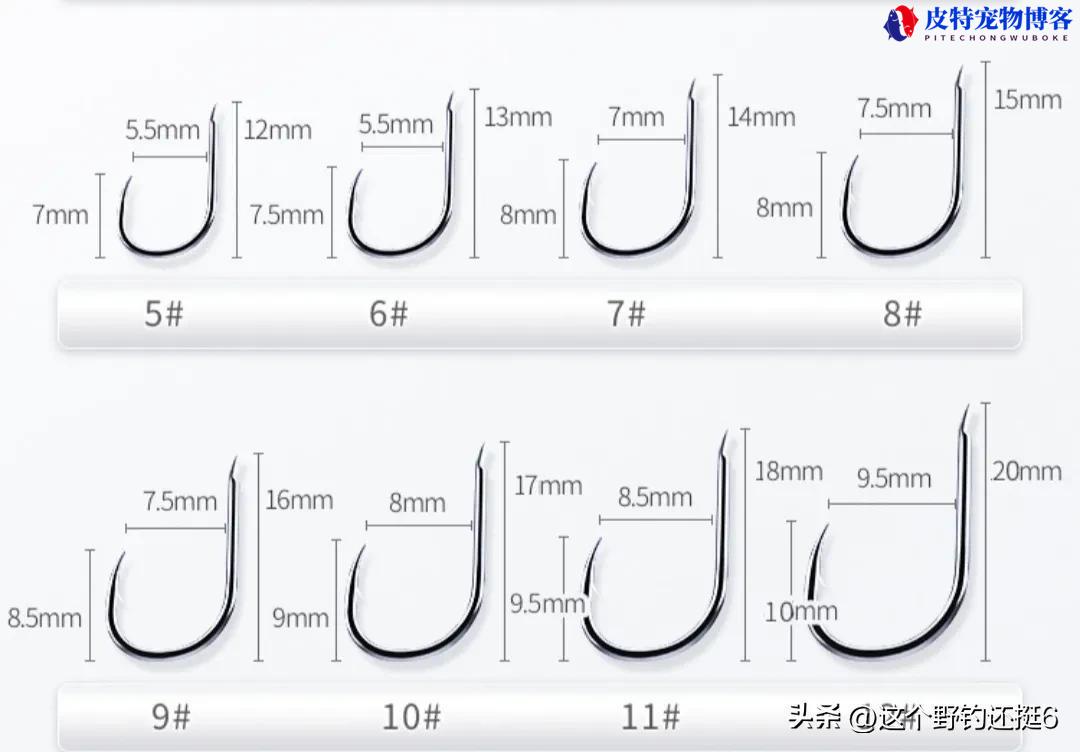 用玉米钓鲤鱼用几号钩最好（选择适合钓鲤鱼的钩子种类）