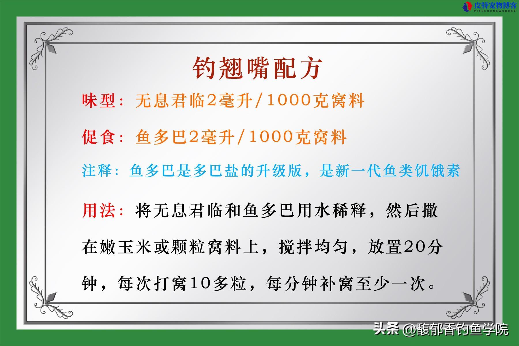 翘嘴鱼怎么钓，用什么饵钓好（掌握翘嘴鱼钓法的技巧）