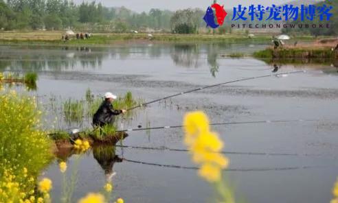 钓鱼什么时间最合适冬天钓，一年中最好钓鱼的月份是几月