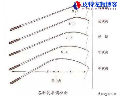 6h19调是什么意思，竿能钓多大的鱼，28偏37调的鱼竿什么意思