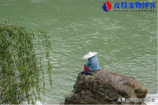 夏季下雨天钓鱼钓底还是钓浮好，下雨天该怎么钓鱼