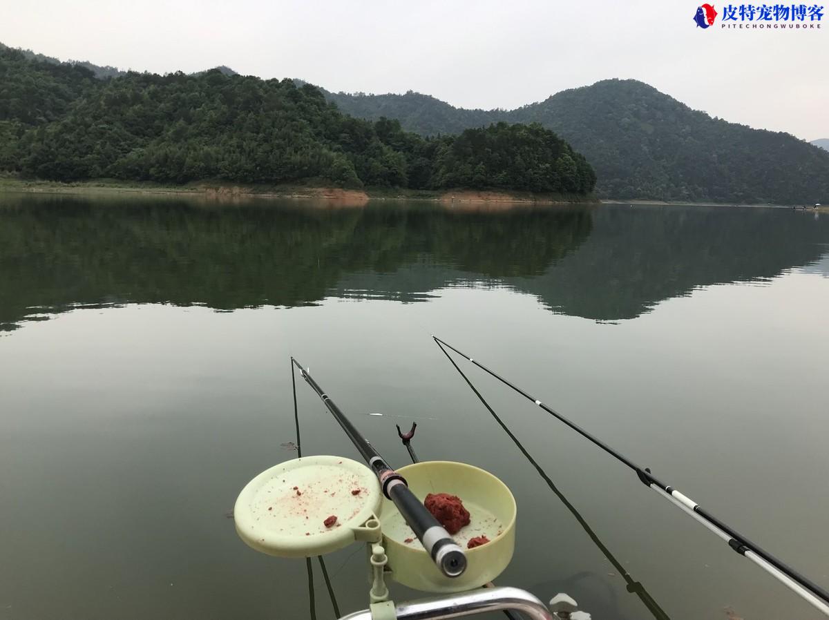 水库野钓鱼一般用多长的鱼竿比较好，湖里钓鱼用多长的鱼竿合适