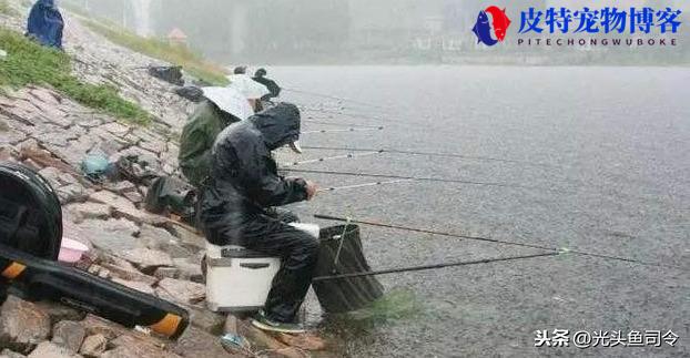 下雨天鱼好不好钓，用啥饵料夏天下雨钓鱼效果怎么样