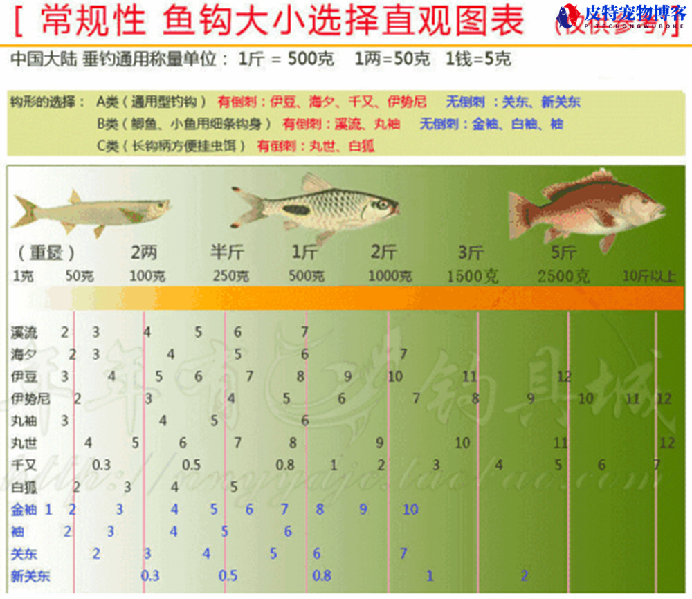 钓鲤鱼钩大小型号怎么选择图解，图解鱼钩的种类型号对比选择