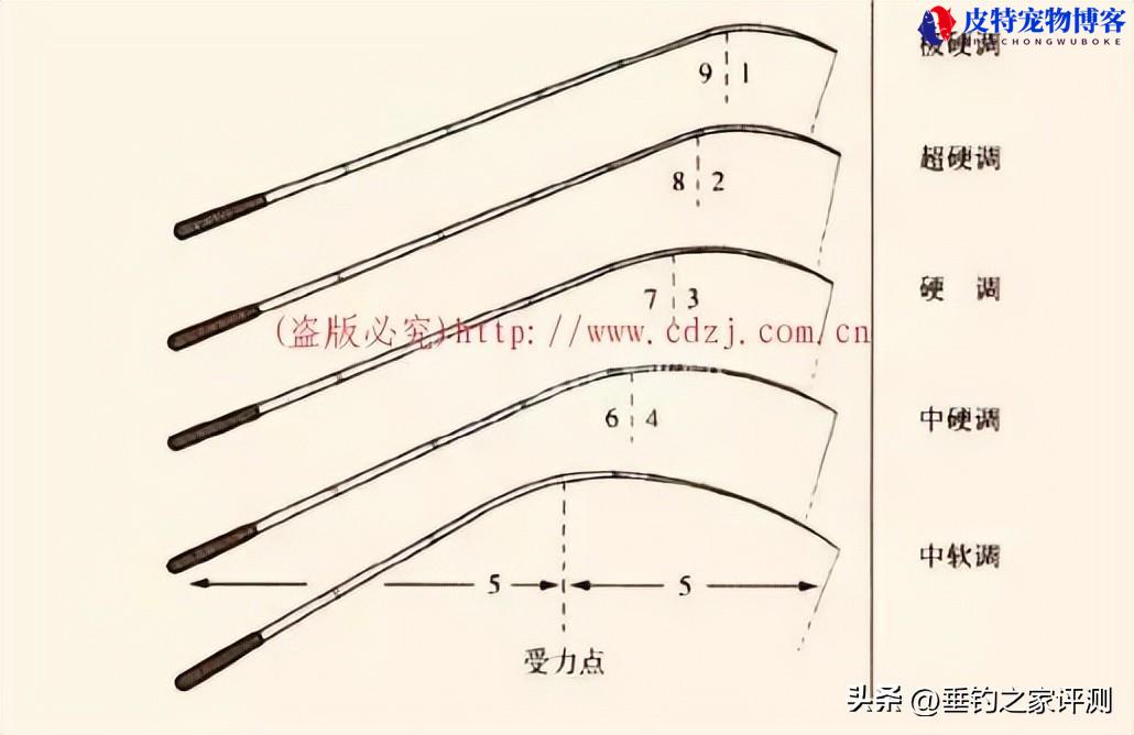 钓鱼竿的28调和19调是什么意思区别，鱼竿19调跟28调的区别是什么呢