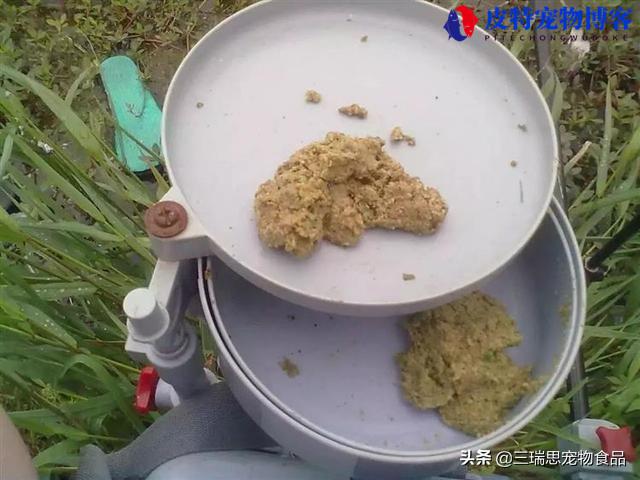 夏天下大雨好钓鱼吗北方，下雨钓鱼最佳方法，阴天下雨钓鱼怎么钓