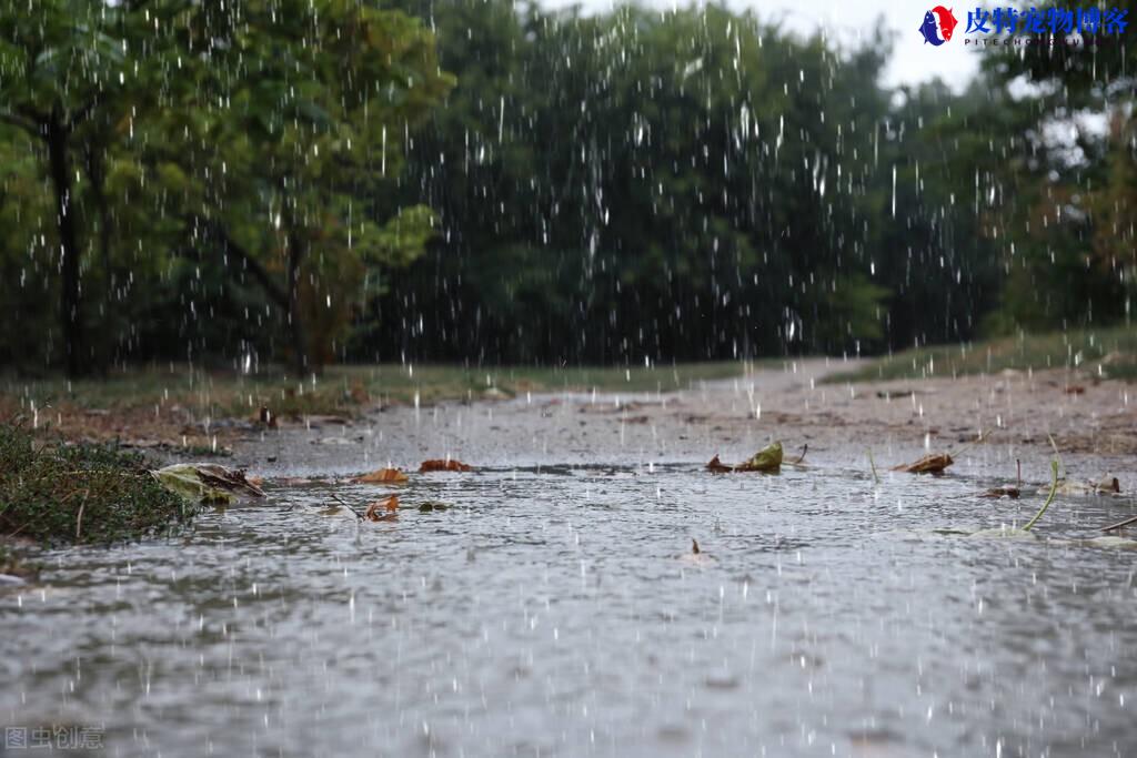 下雨钓深还是钓浅好，雨天野钓怎么选钓位