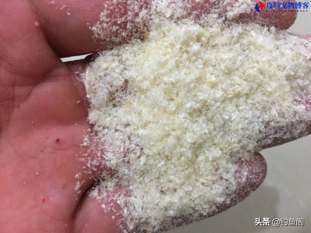 手竿钓鲢鳙用多大的浮漂吃铅量，钓鲢鳙手竿怎么调漂最好