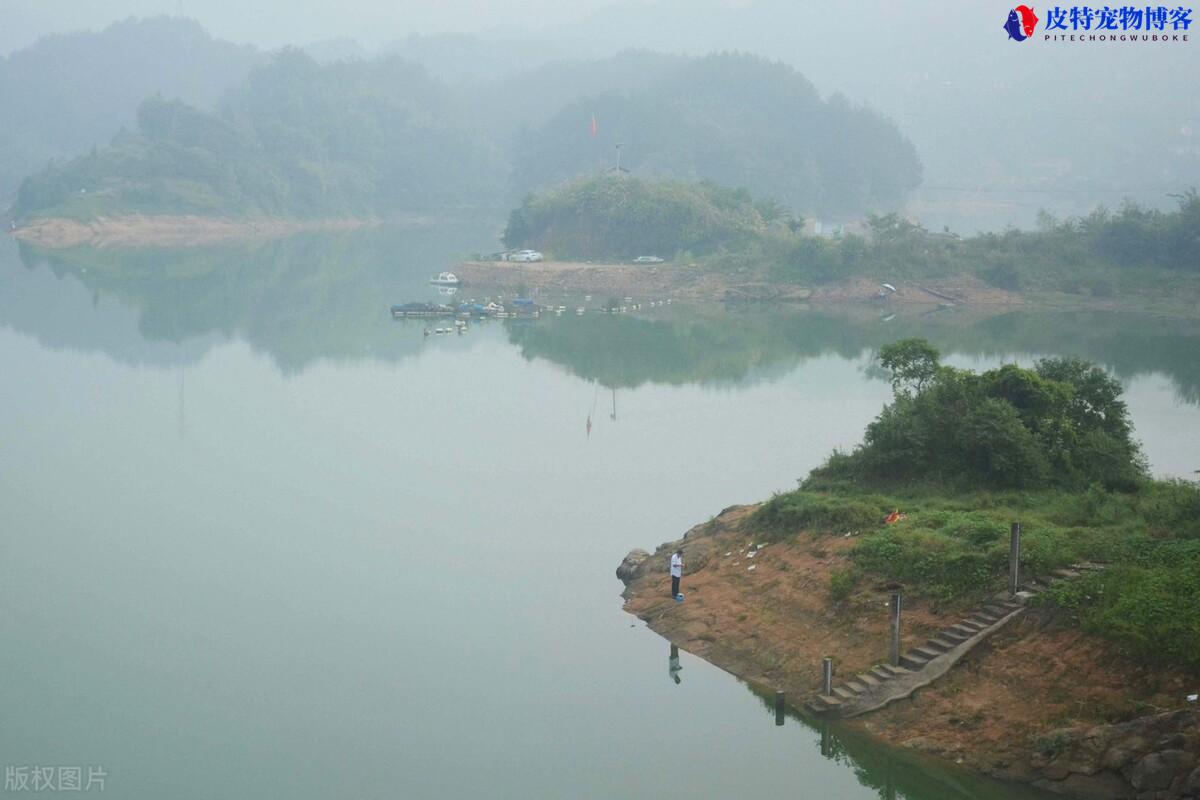 下雨钓深还是钓浅好，雨天野钓怎么选钓位