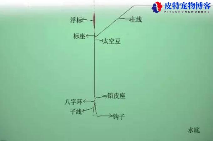 钓草鱼调漂的正确方法调几目，双钩距离多少合适，草鱼钓底还是钓浮