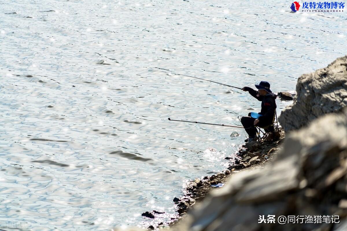 夏季东南风好钓鱼吗为什么，东南风对钓鱼有没有影响