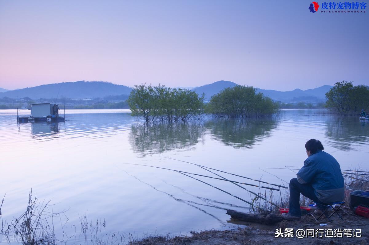 夏季东南风好钓鱼吗为什么，东南风对钓鱼有没有影响