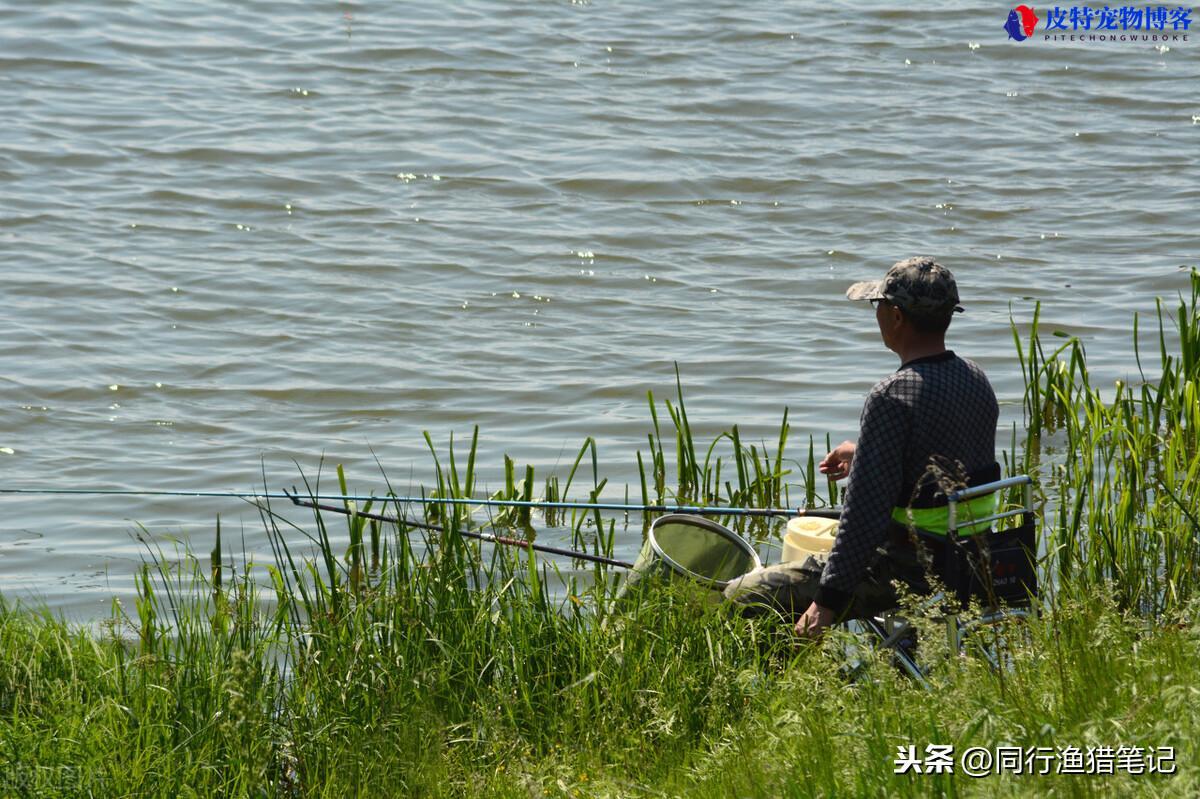 夏季东南风好钓鱼吗为什么，东南风对钓鱼有没有影响