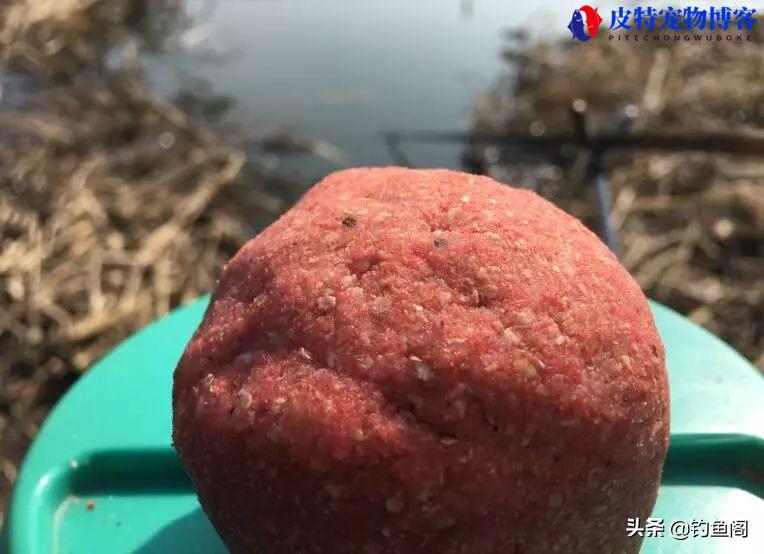 野钓鲤鱼用什么饵料最好，最强野钓鲤鱼饵排名前十名