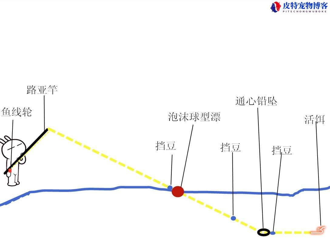 路亚能钓草鱼和鲫鱼吗，怎么用路亚抬逗钓鲫鱼