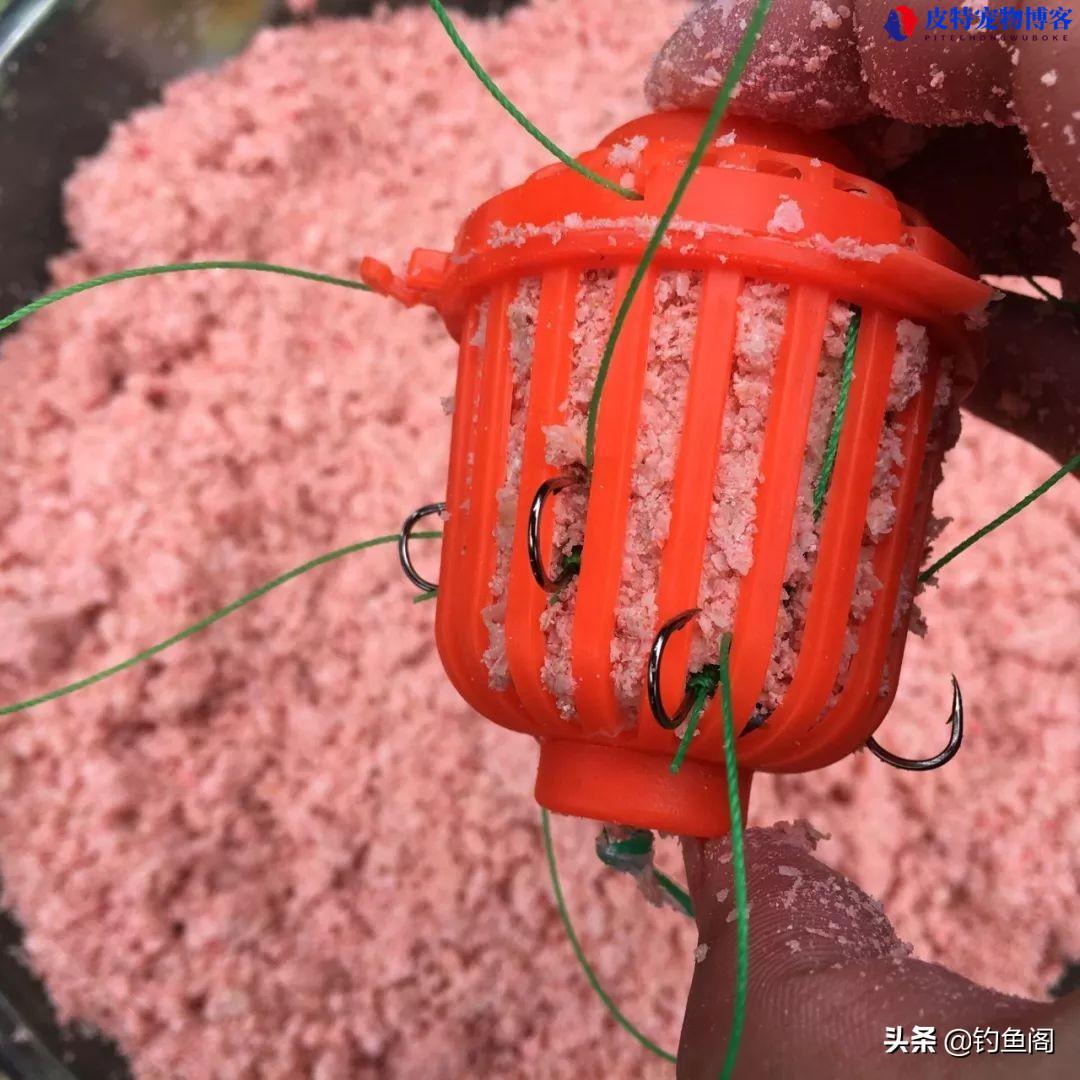 最简单钓鲢鳙自制饵料配方，野钓鲢鳙饵料如何自制