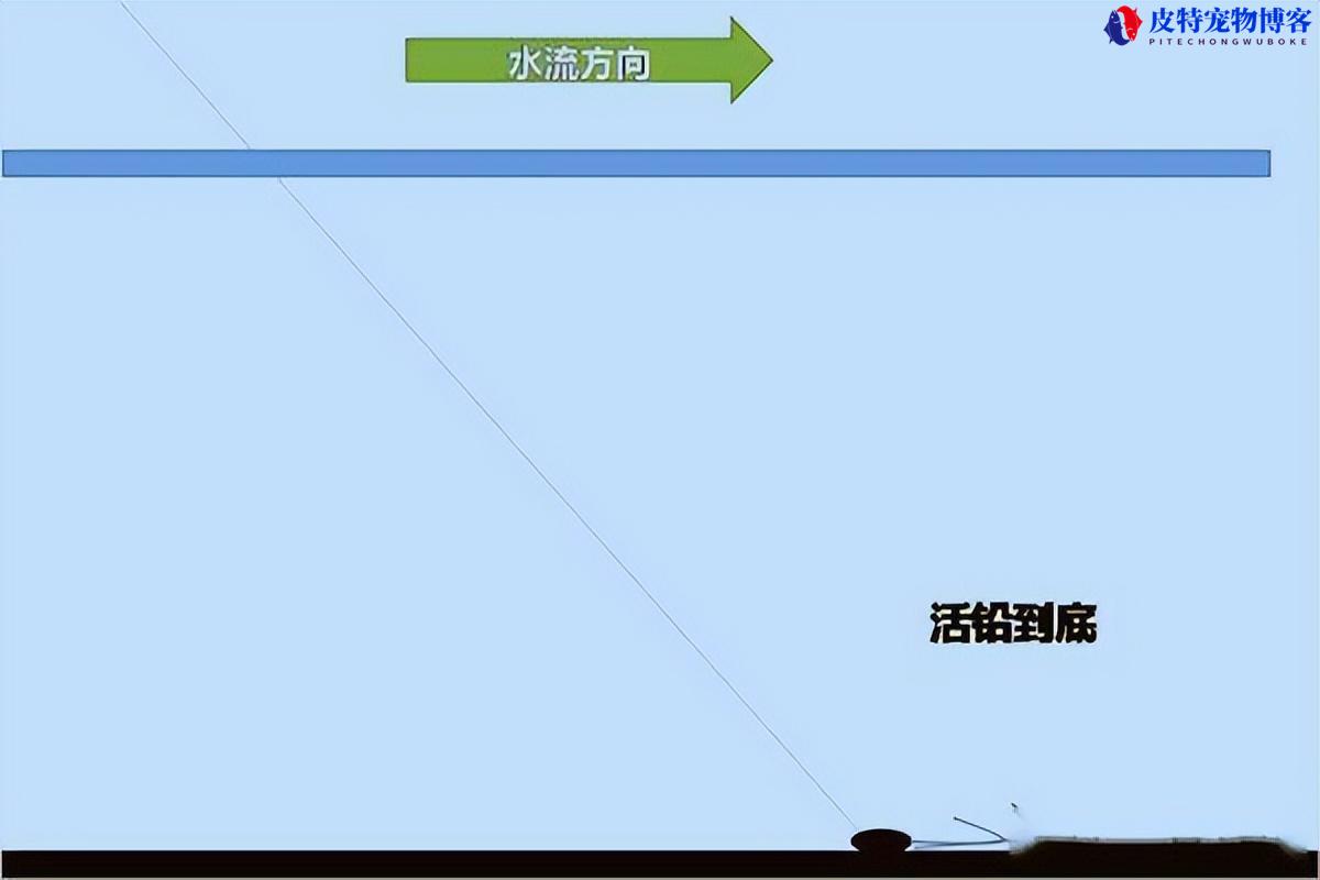 最新闷竿钓法改良方法图解，闷竿钓鱼注意事项