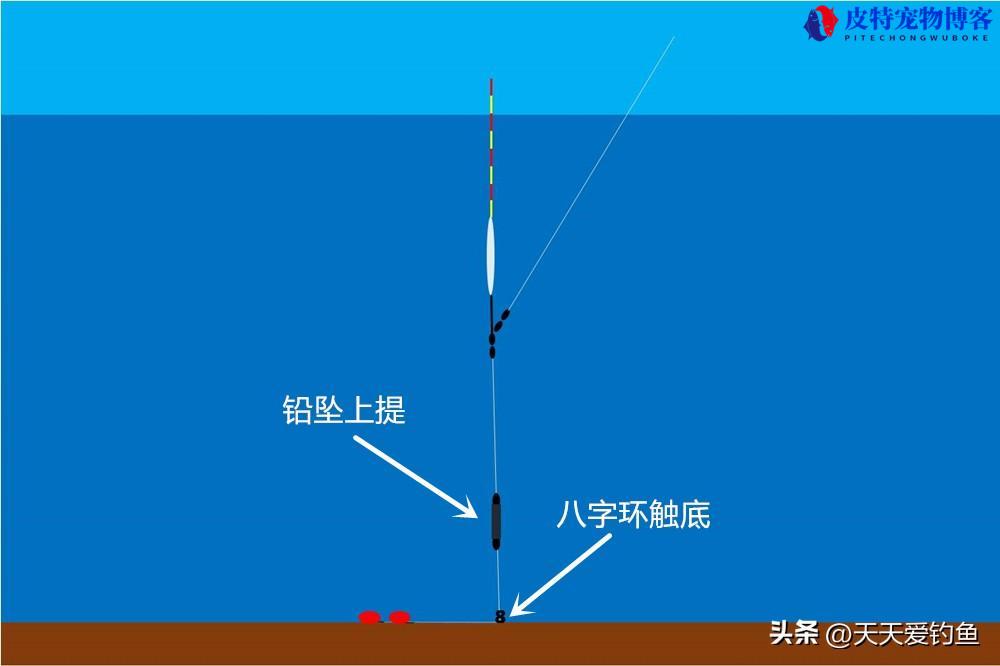 野钓最正确的跑铅方法是什么，效果怎么样，跑铅钓鱼调漂方法