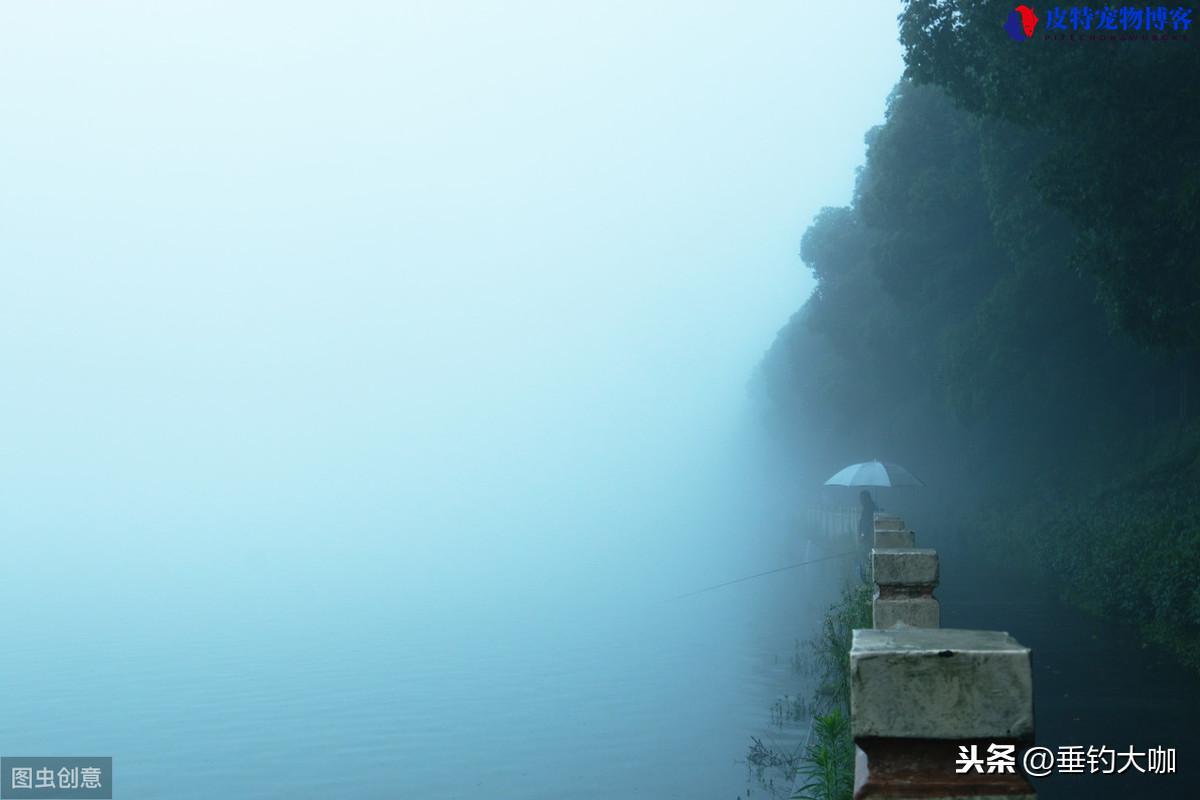 雨前钓鱼还是雨后钓鱼好钓，雨前雨后钓鱼哪个好