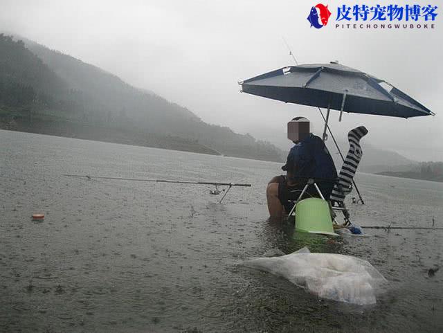 海钓下雨天能钓到鱼吗为什么，下雨天钓鱼鱼口好吗