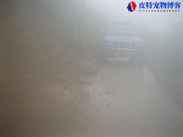 海钓下雨天能钓到鱼吗为什么，下雨天钓鱼鱼口好吗