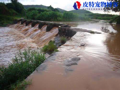 海钓下雨天能钓到鱼吗为什么，下雨天钓鱼鱼口好吗