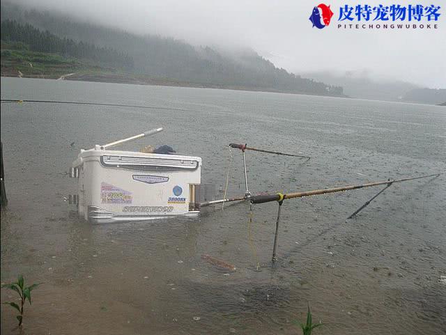 海钓下雨天能钓到鱼吗为什么，下雨天钓鱼鱼口好吗