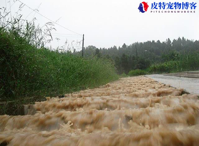 海钓下雨天能钓到鱼吗为什么，下雨天钓鱼鱼口好吗