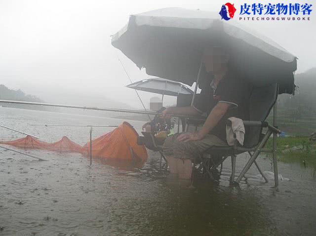 海钓下雨天能钓到鱼吗为什么，下雨天钓鱼鱼口好吗