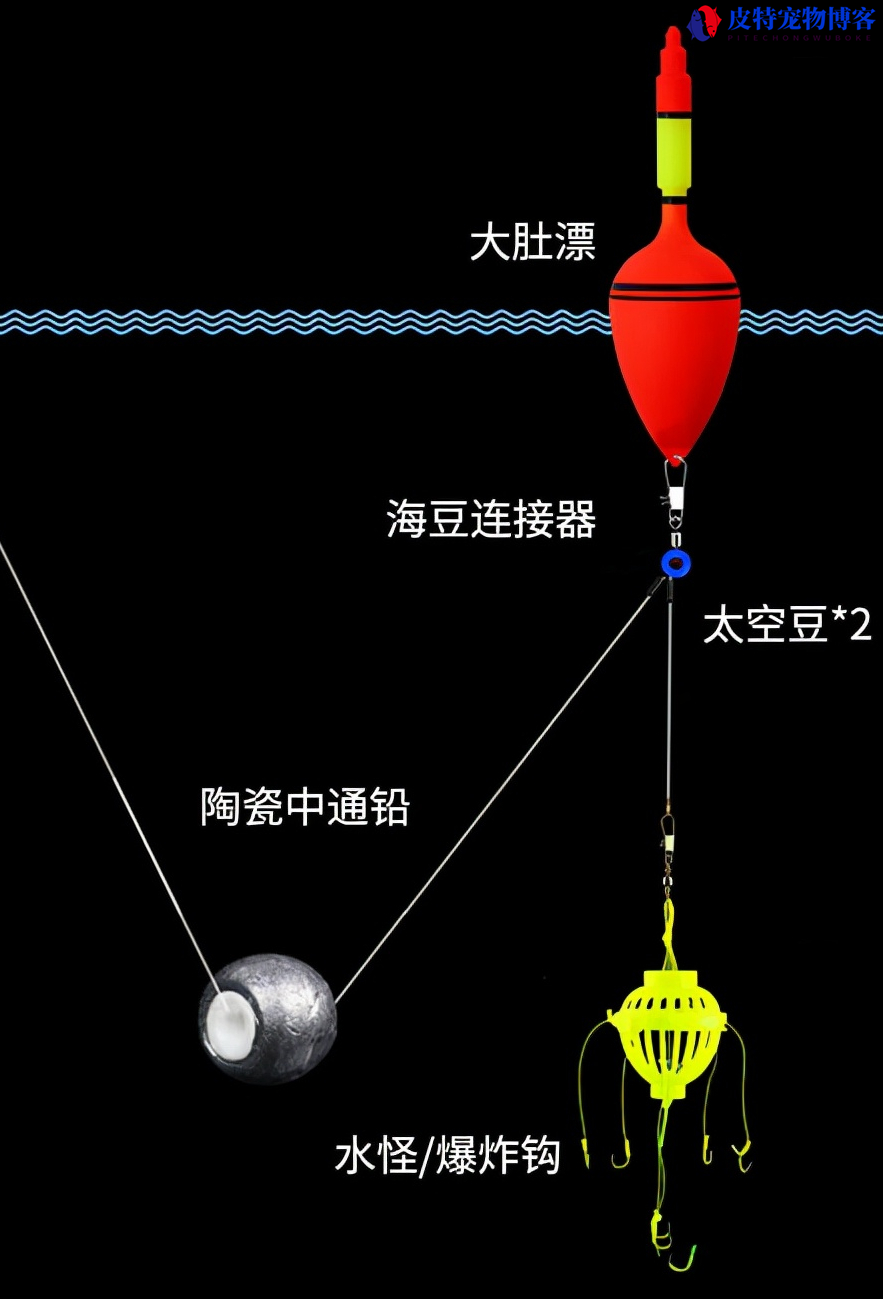 钓鲢鳙线组搭配图解用什么灯，子线多长最好，台钓鲢鳙线组怎么安装