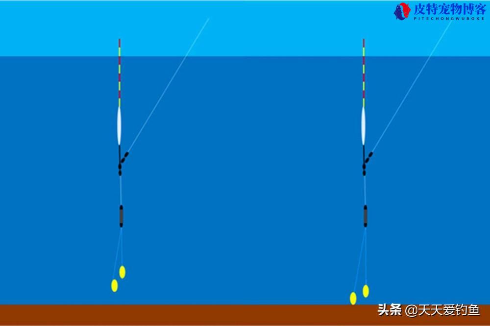 调4目钓2目什么意思，是灵还是钝，半水调漂怎么调，调四钓二灵敏吗