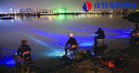 五月夜钓几点到几点的鱼口比较好，夜钓几点钓鱼好，深夜钓鱼能上钩吗