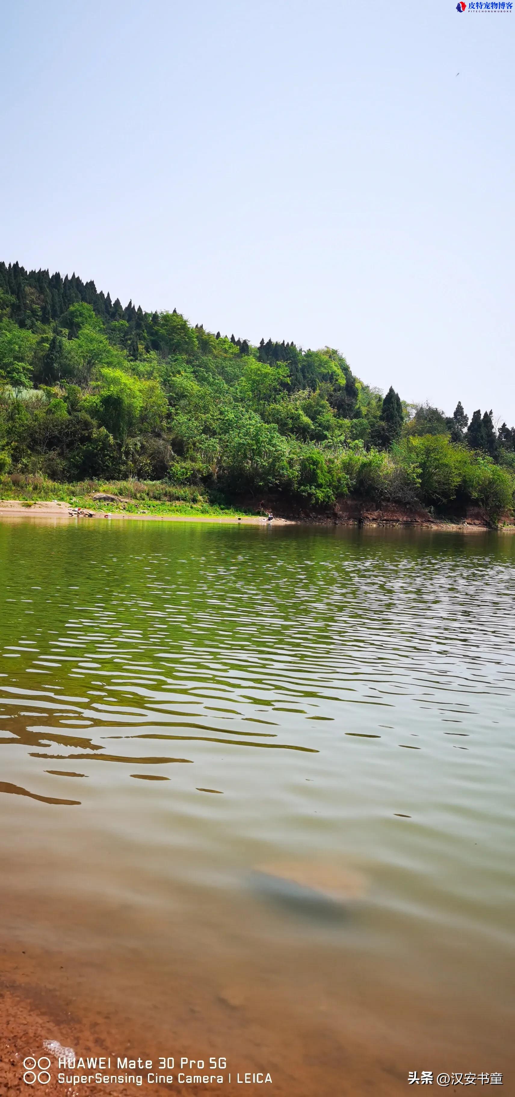 夏天路亚夜钓翘嘴钓底还是钓浮，深水还是浅水好，何选择水层