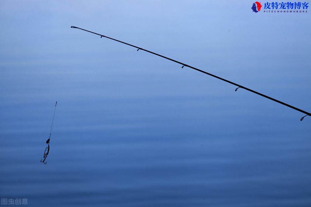 m调路亚竿适合钓什么鱼，能钓多大的鱼，鱼竿有哪些调性