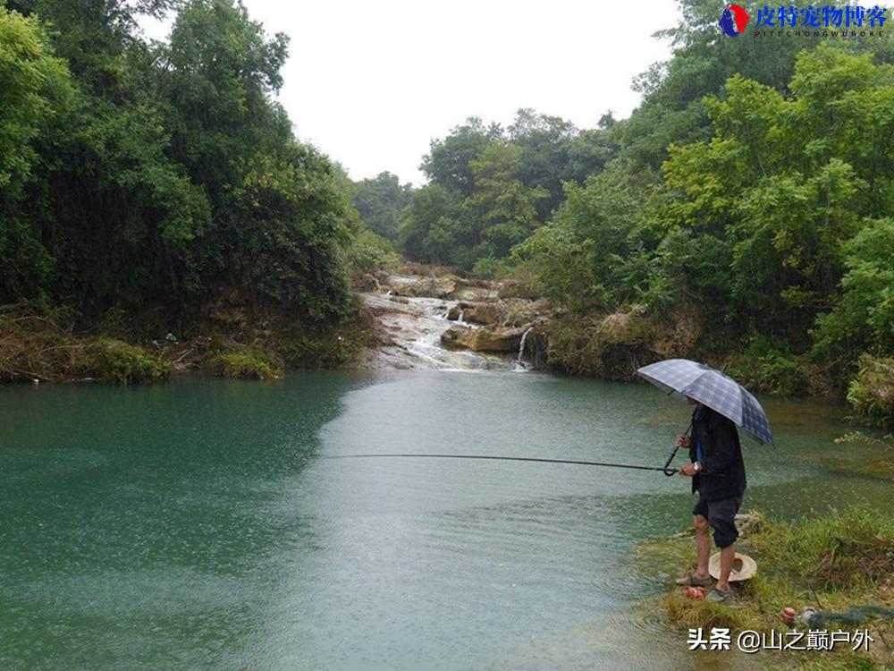 下雨天水库塘子怎么钓鱼，应该钓深水还是浅水，钓远还是钓近