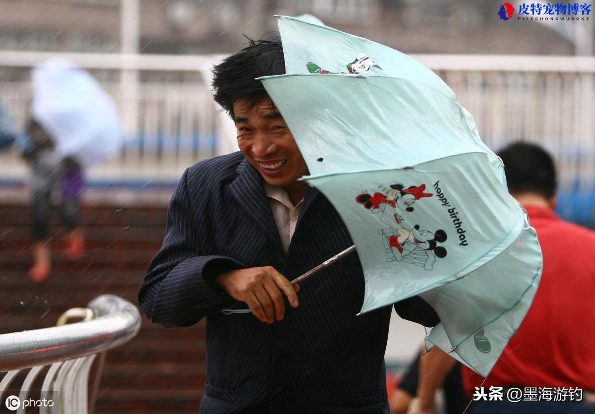 钓鱼风向什么风最好，对垂钓有什么影响，风向和钓鱼的关系