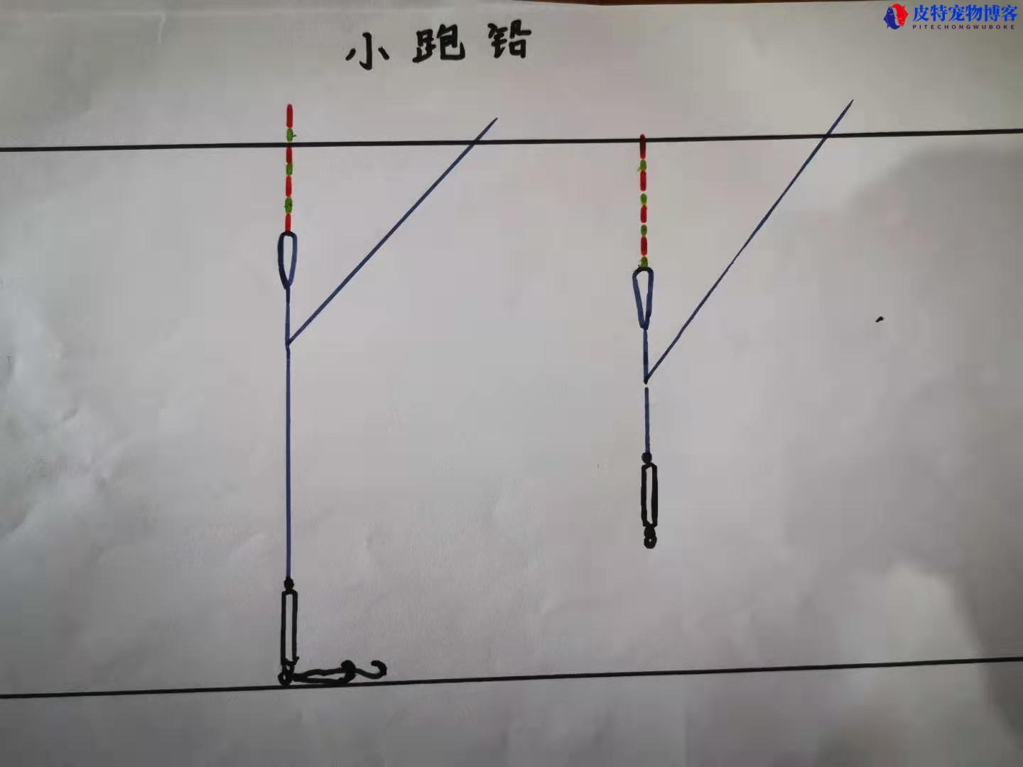 钓鱼的钓法有多少种，钓鱼的钓法种类有哪些，目前最先进的钓鱼方法