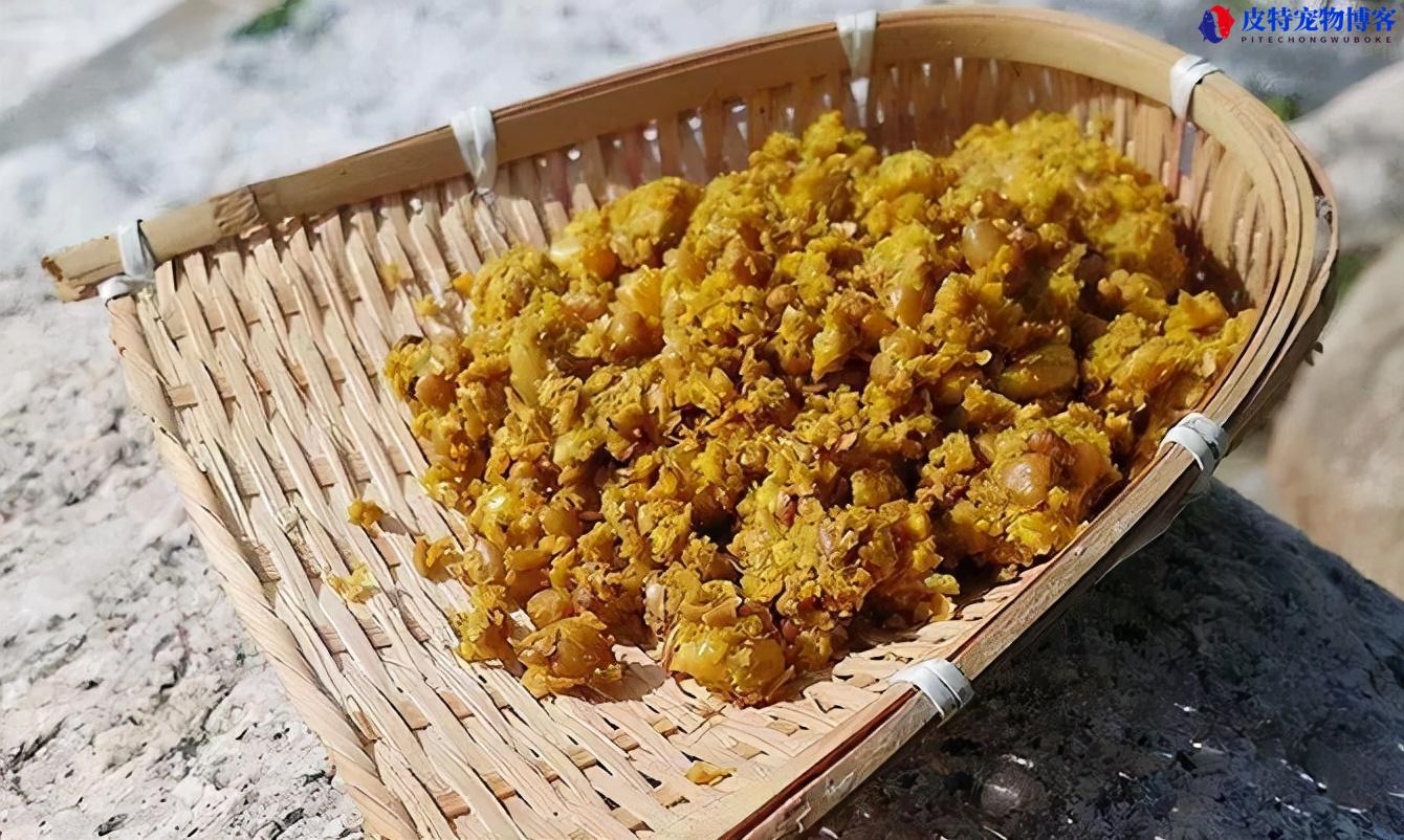 鲤鱼怎么钓浮怎样调漂，用什么饵，钓底还是钓浮好一点