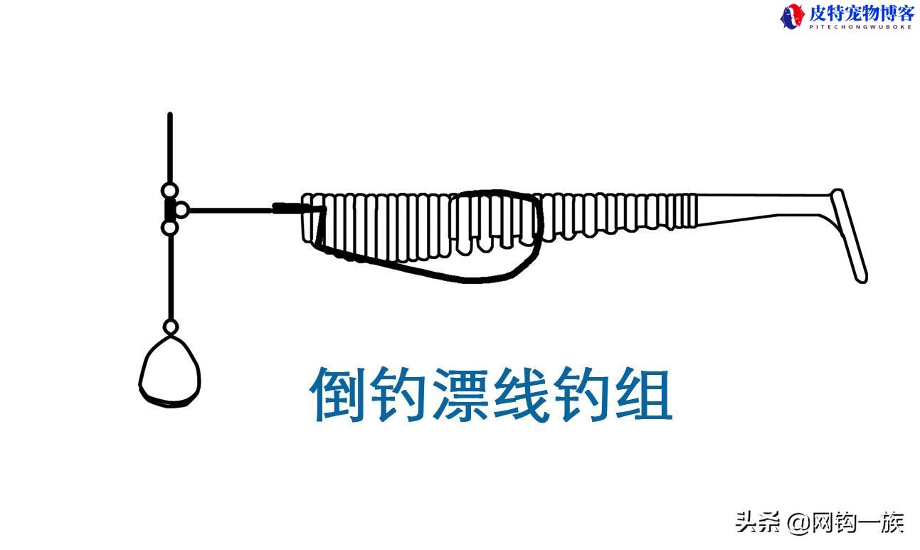 倒钓钩的绑法图解德州钓组，卡罗钓组跟德州钓组的差别在哪里