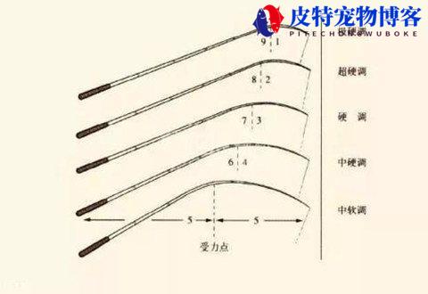 鱼竿钓性分类图，28偏19是什么意思，各种鱼竿的区别与使用方法