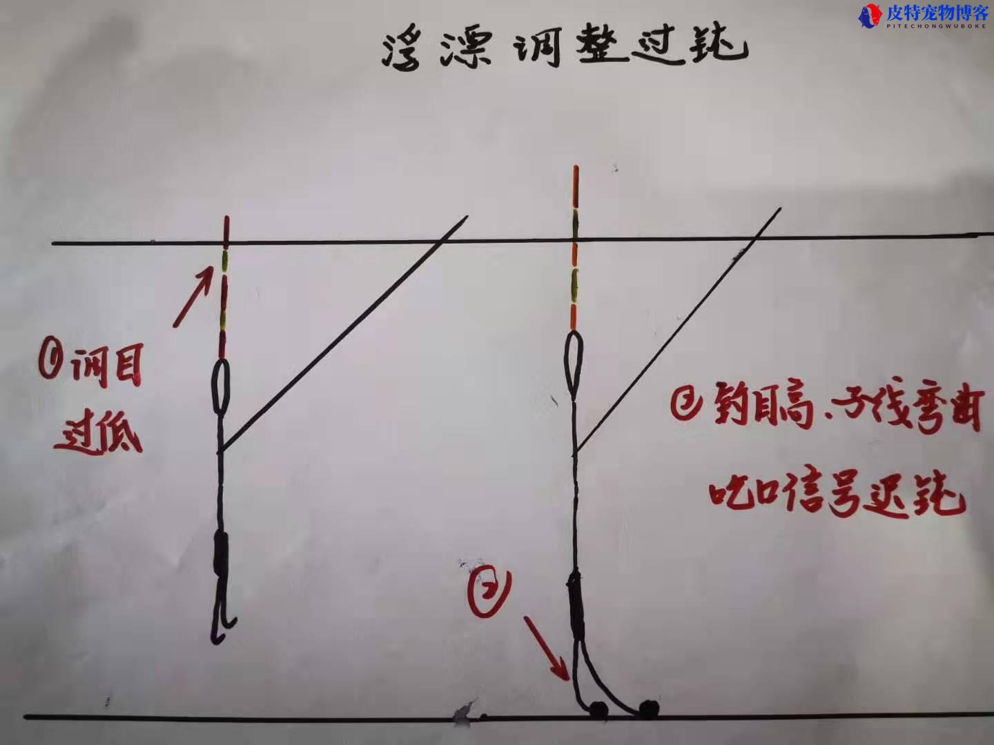 钓鱼的钓法有多少种，钓鱼的钓法种类有哪些，目前最先进的钓鱼方法