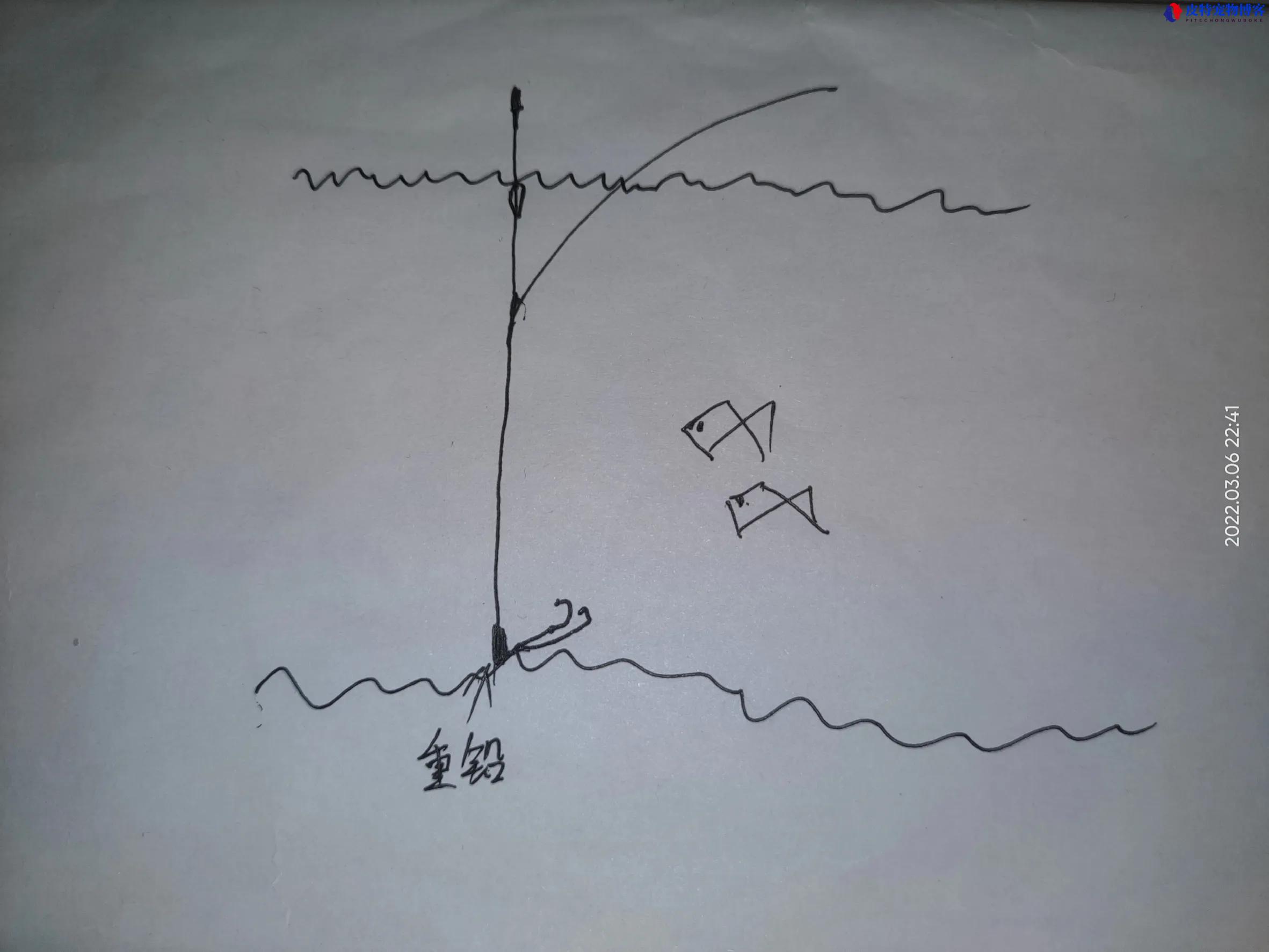 钓离底10公分调漂最简单方法图解，怎么钓离底怎么调漂
