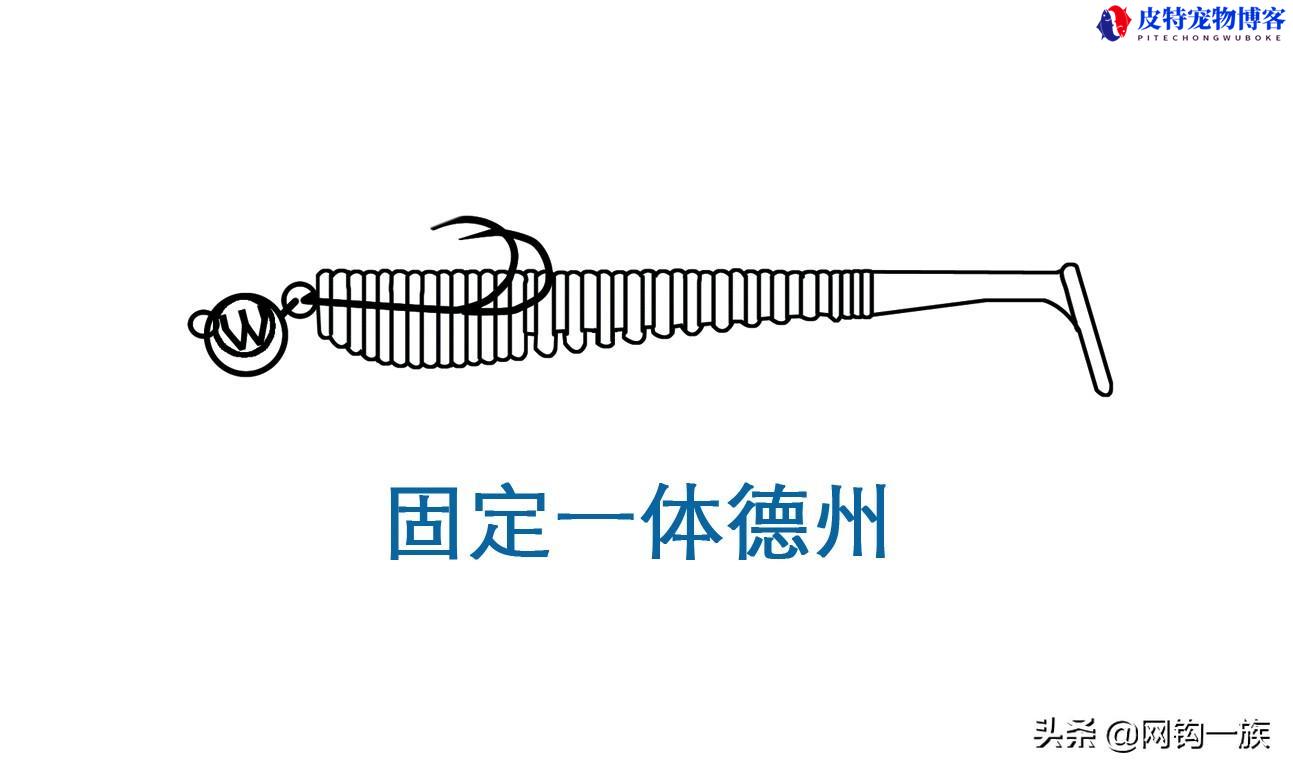 倒钓钩的绑法图解德州钓组，卡罗钓组跟德州钓组的差别在哪里