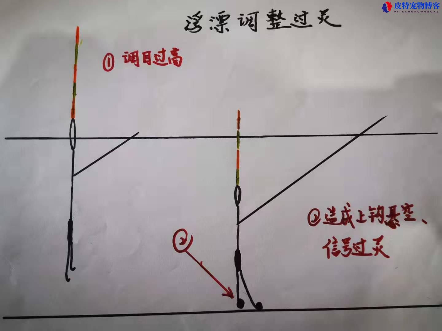 钓鱼的钓法有多少种，钓鱼的钓法种类有哪些，目前最先进的钓鱼方法