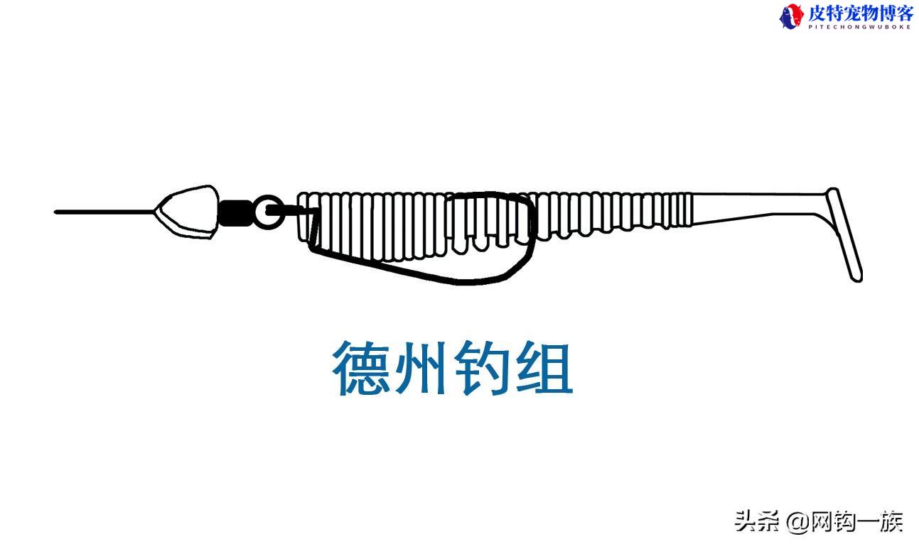 倒钓钩的绑法图解德州钓组，卡罗钓组跟德州钓组的差别在哪里