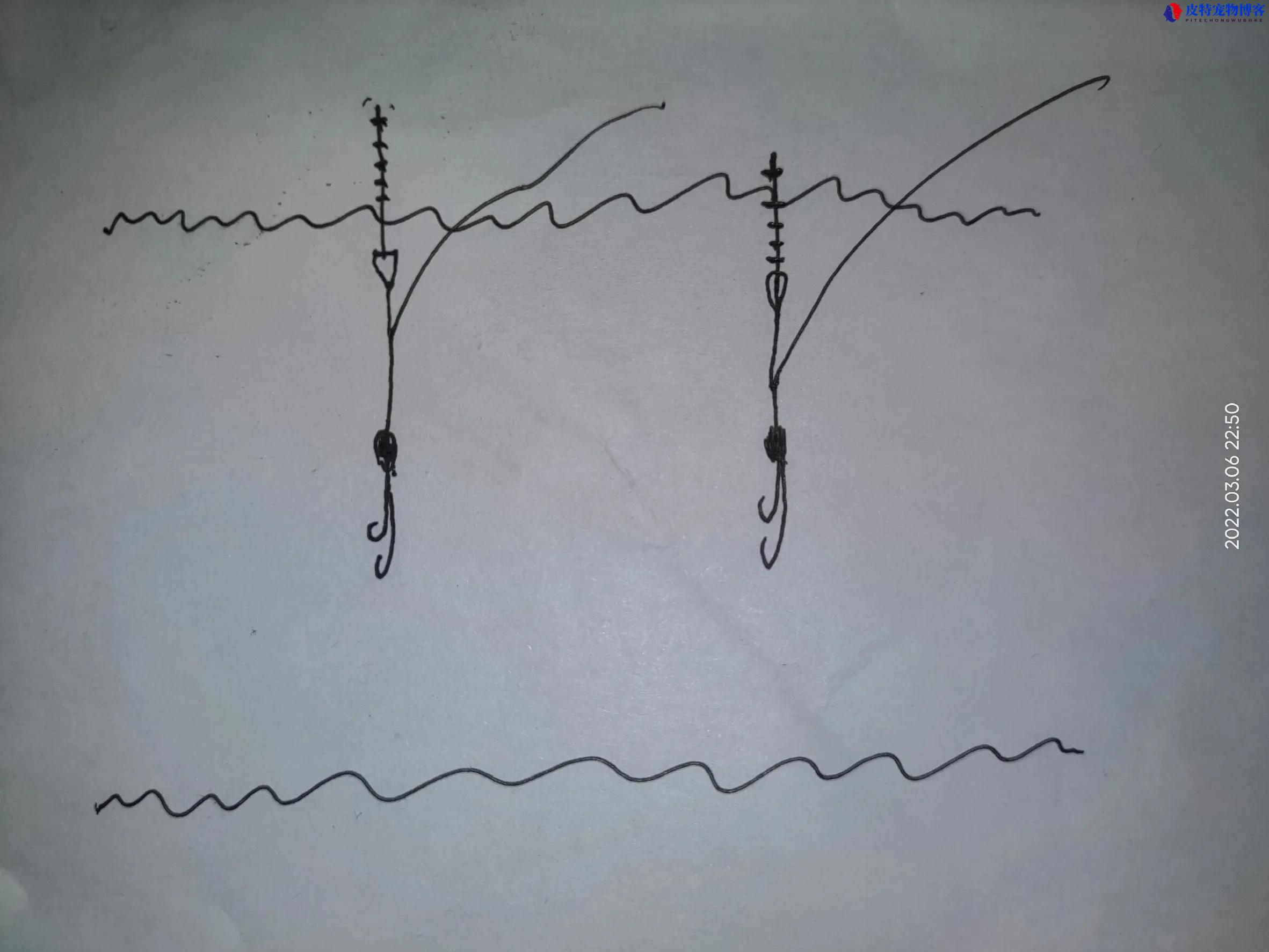 钓离底10公分调漂最简单方法图解，怎么钓离底怎么调漂