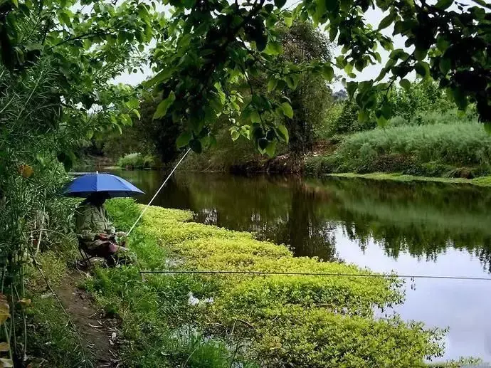 夏季水库阴天钓鱼钓深还是钓浅，钓边还是钓中间，阴天怎么钓鱼才好钓