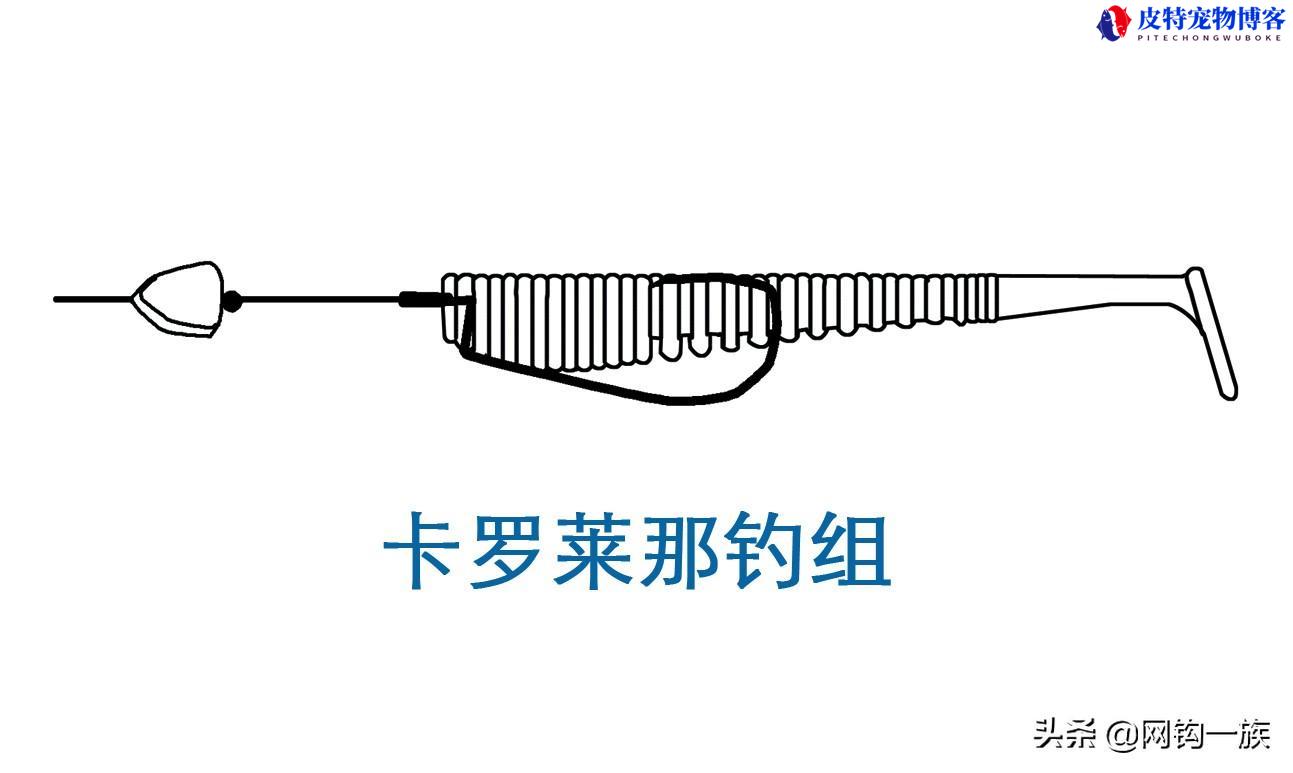 倒钓钩的绑法图解德州钓组，卡罗钓组跟德州钓组的差别在哪里