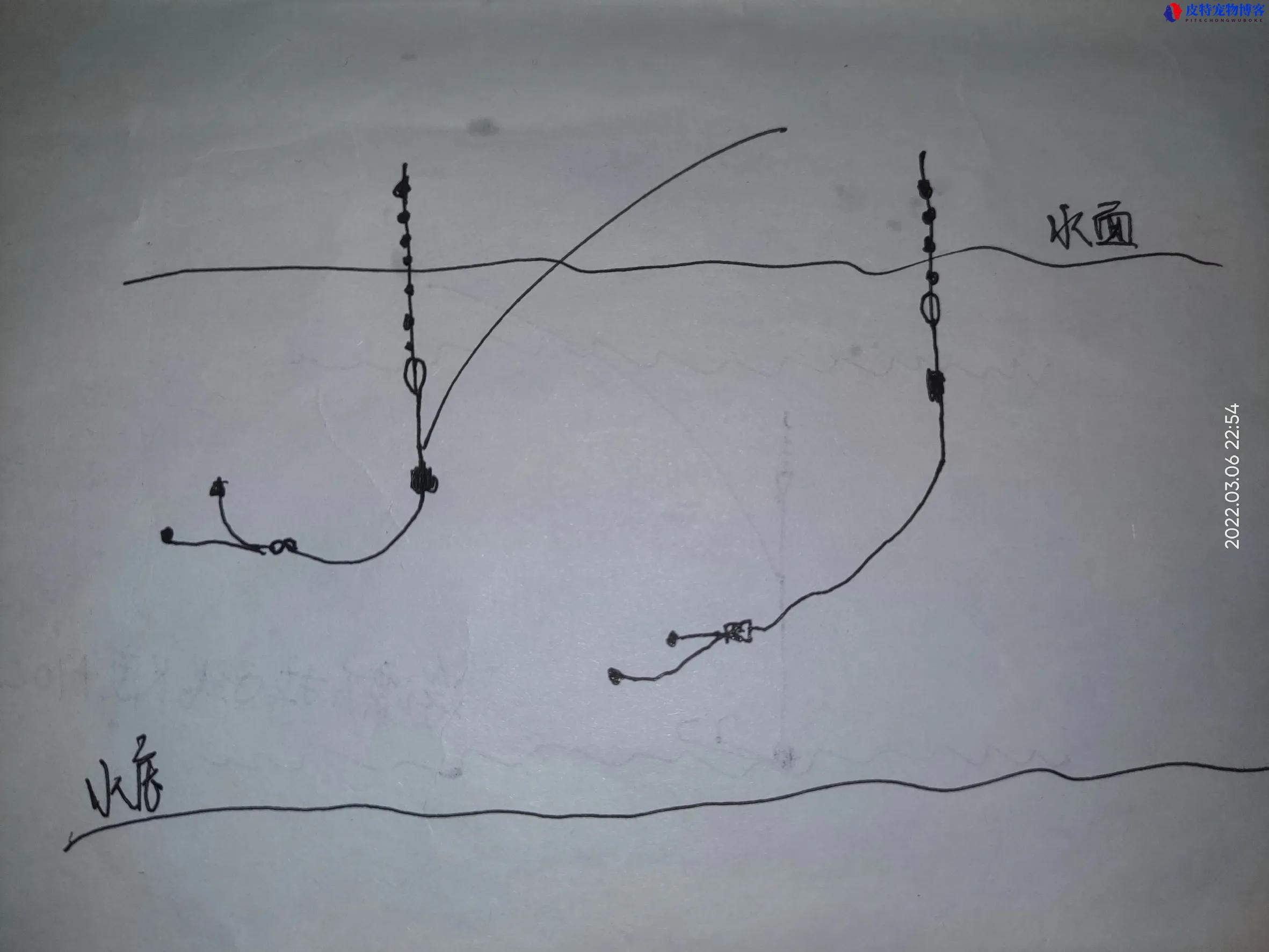 钓离底10公分调漂最简单方法图解，怎么钓离底怎么调漂